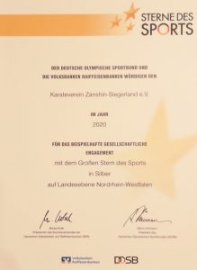 Stern des Sports in Silber